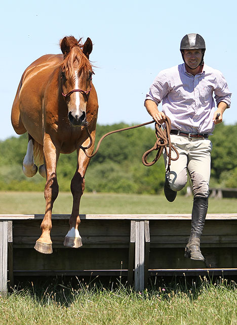 horse and trainer jumping